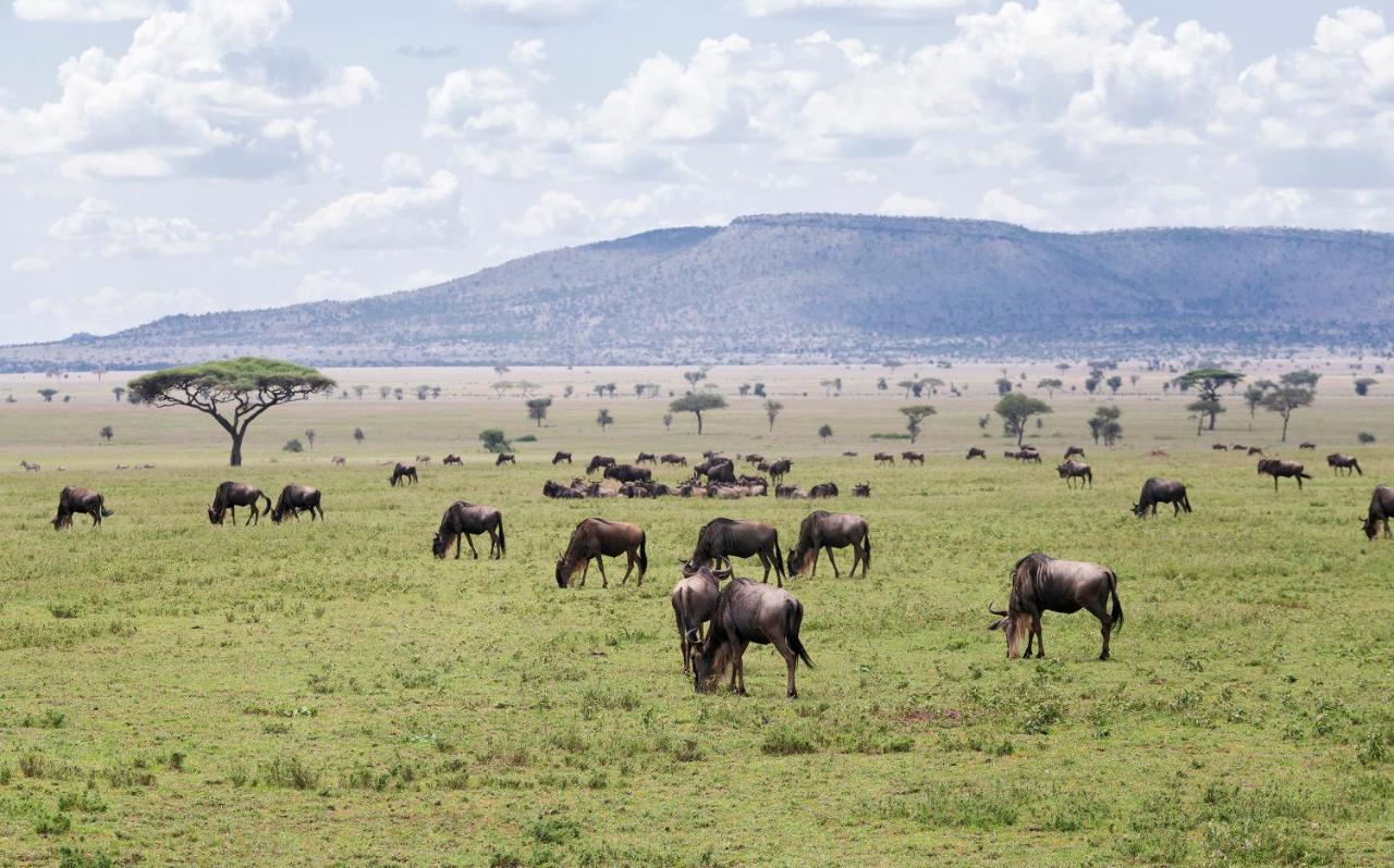 Ngorongoro Lodge Member Of Melia Collection - The Leading Hotels Of The World エクステリア 写真