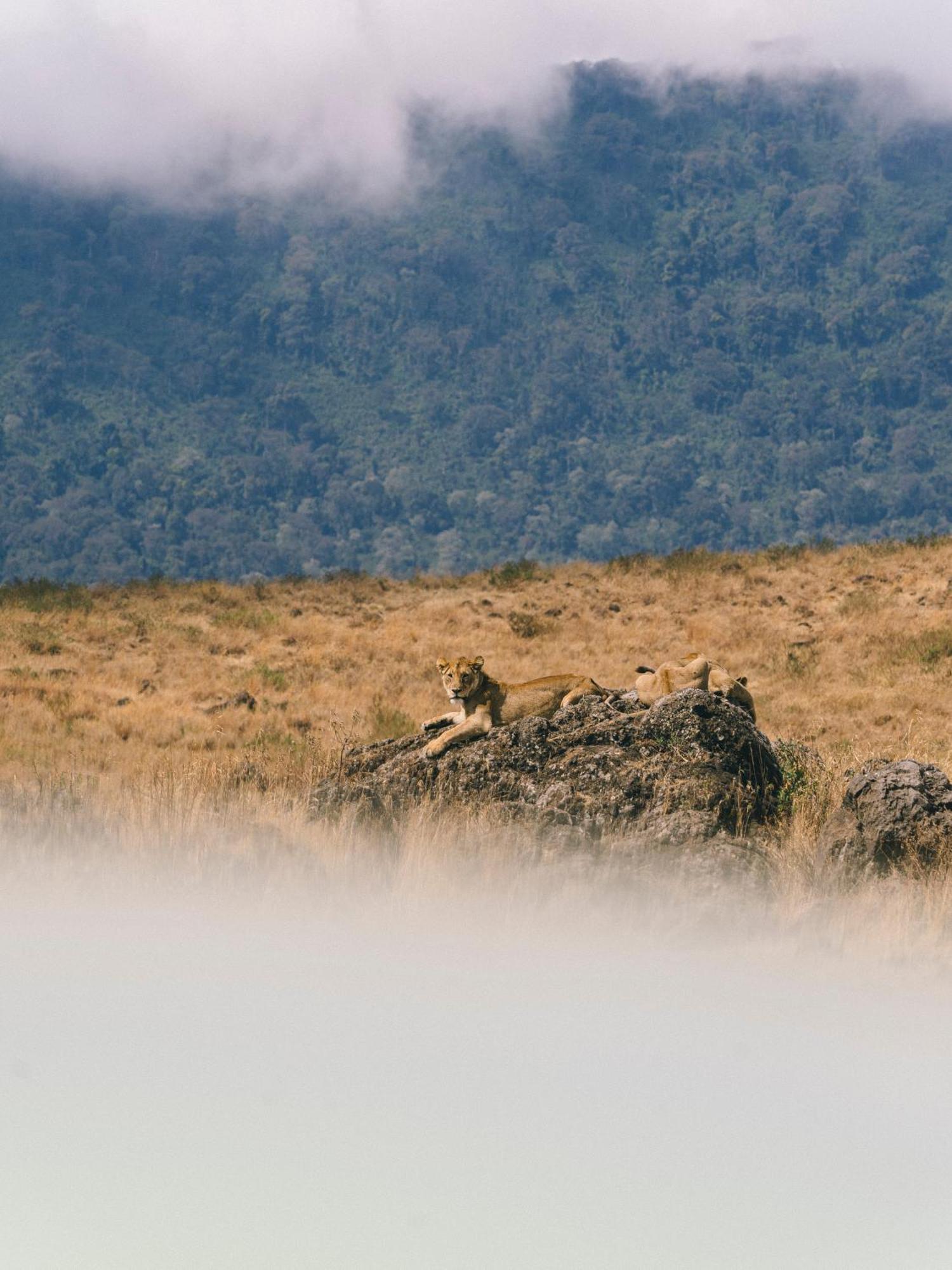 Ngorongoro Lodge Member Of Melia Collection - The Leading Hotels Of The World エクステリア 写真