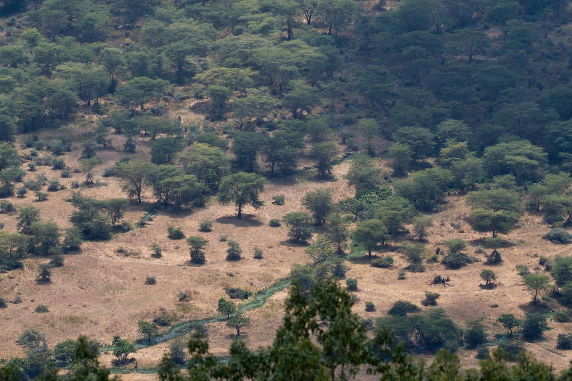 Ngorongoro Lodge Member Of Melia Collection - The Leading Hotels Of The World エクステリア 写真