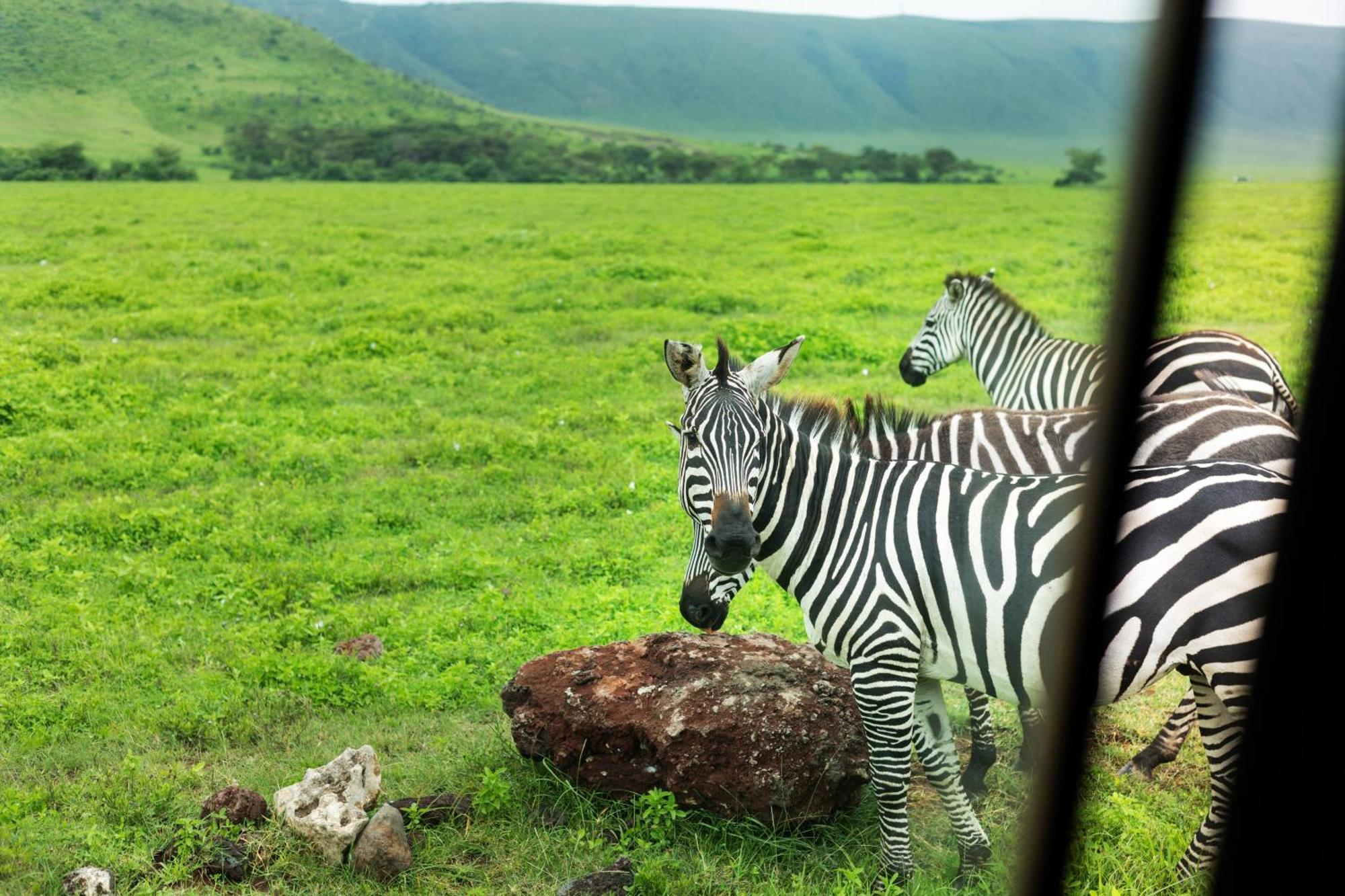 Ngorongoro Lodge Member Of Melia Collection - The Leading Hotels Of The World エクステリア 写真