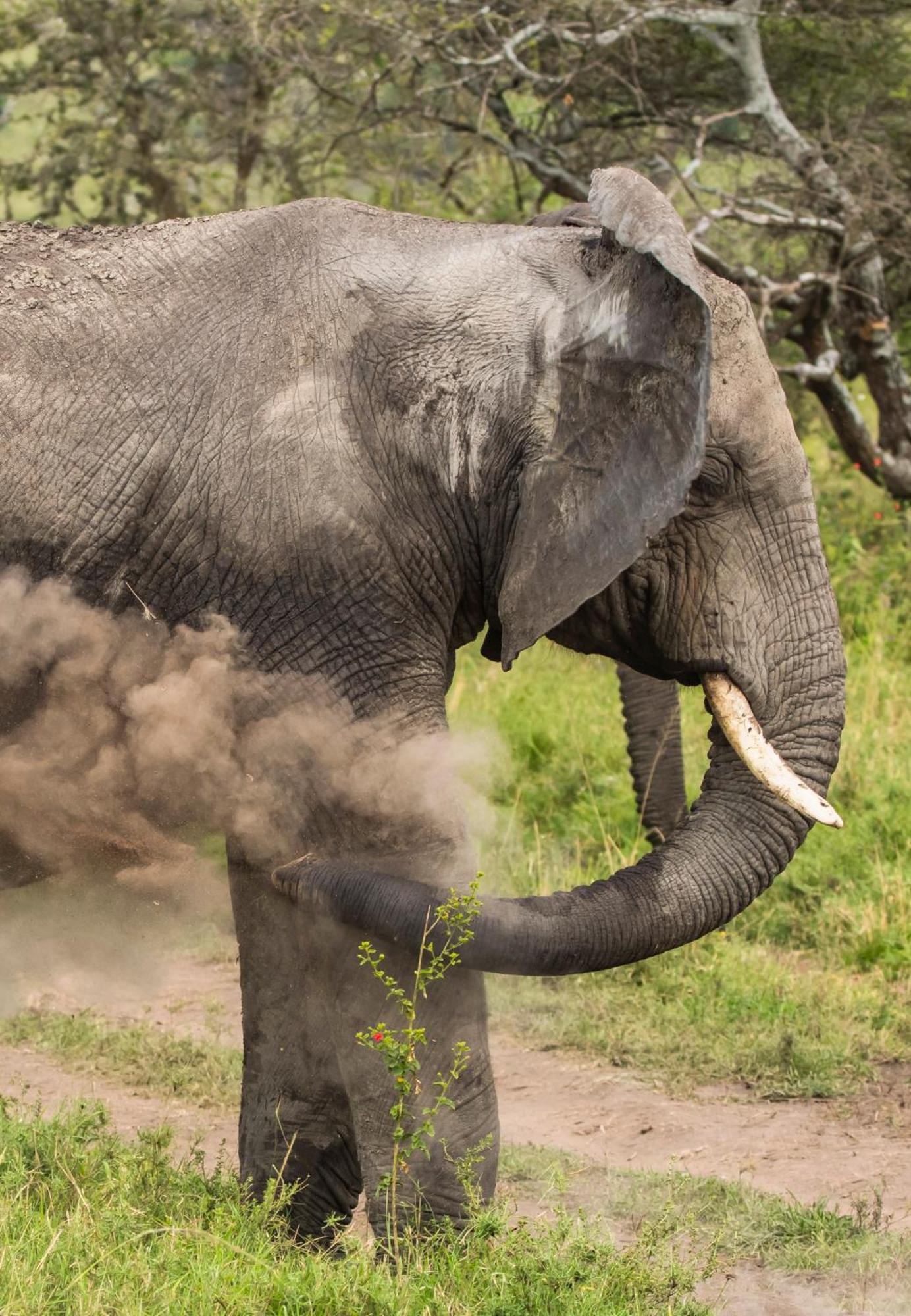 Ngorongoro Lodge Member Of Melia Collection - The Leading Hotels Of The World エクステリア 写真
